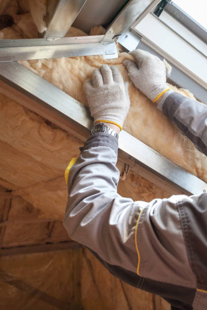 Best Geographic-Specific Insulation Services in Sevierville, TN