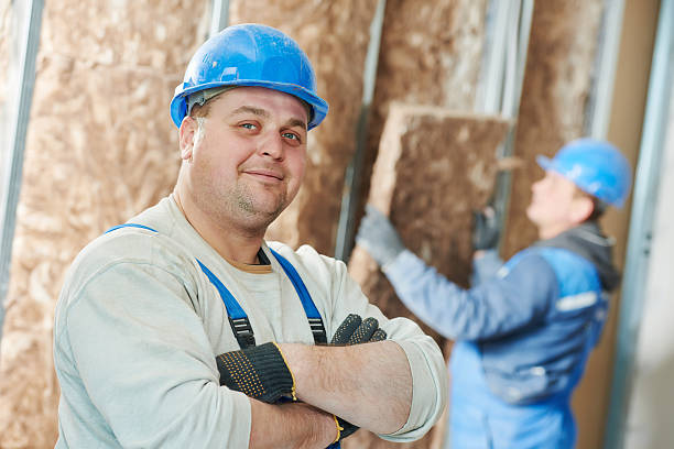 Best Eco-Friendly Insulation in Sevierville, TN